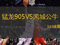 猛龍905VS風(fēng)城公牛