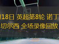 10月18日 英超第8輪 諾丁漢森林vs切爾西 全場(chǎng)錄像回放