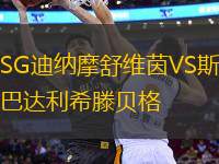 SG迪納摩舒維茵VS斯巴達(dá)利希滕貝格