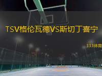 TSV格倫瓦德VS斯切丁喜寧