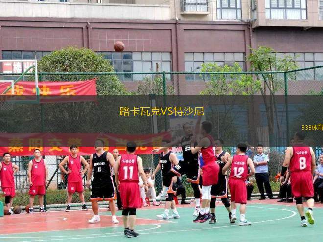 路卡瓦克VS特沙尼