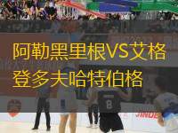 阿勒黑里根VS艾格登多夫哈特伯格