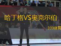 哈丁格VS奧克爾伯