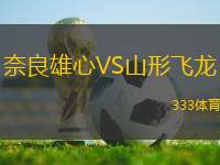 奈良雄心VS山形飛龍