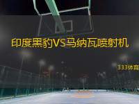 印度黑豹VS馬納瓦噴射機