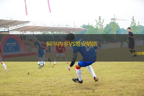 阿爾內(nèi)多VS維安納斯