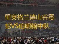 里奧格蘭德山谷毒蛇VS伯明翰中隊(duì)