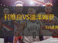 科維良VS迪澤姆羅