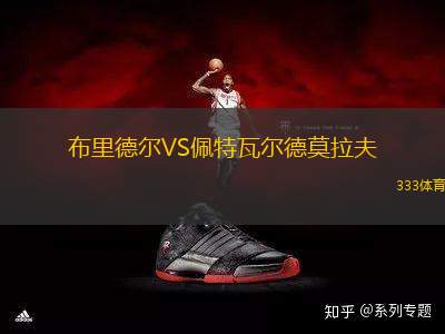 布里德爾VS佩特瓦爾德莫拉夫