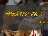 辛德利VS馬格尼