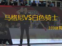 馬格尼VS白色騎士