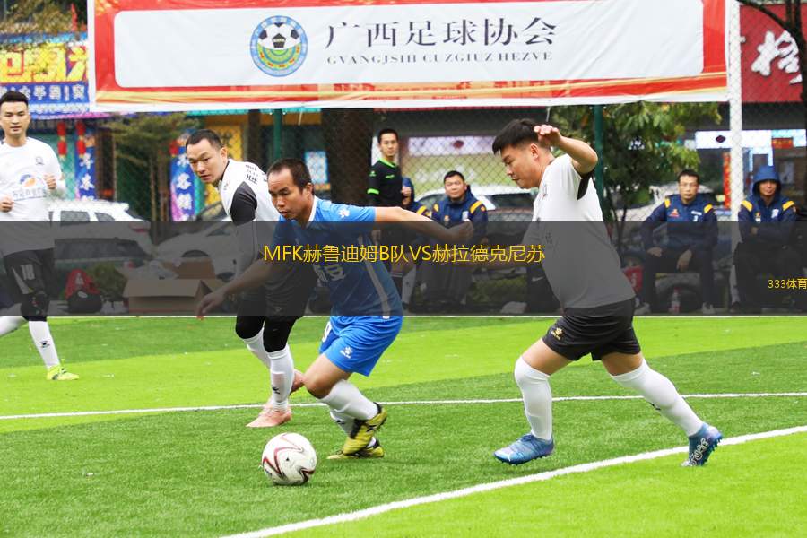 MFK赫魯?shù)夏稡隊VS赫拉德克尼蘇