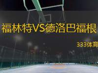 福林特VS德洛巴福根