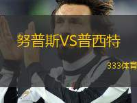 努普斯VS普西特