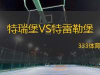 特瑞堡VS特雷勒堡