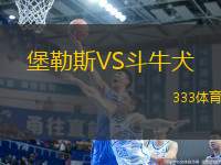 堡勒斯VS斗牛犬