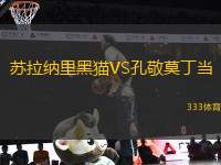 蘇拉納里黑貓VS孔敬莫丁當(dāng)