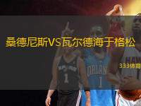 桑德尼斯VS瓦爾德海于格松