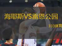 海耶斯VS雷恩公園