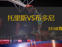 托里斯VS布多尼