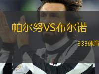 帕爾努VS布爾諾