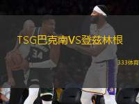TSG巴克南VS登茲林根