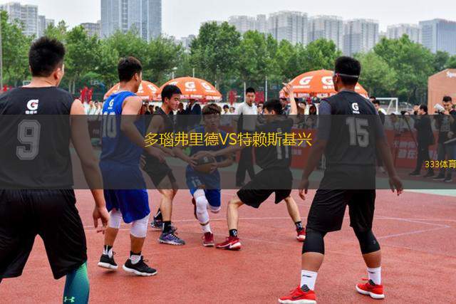 多瑙弗里德VS特賴斯基興