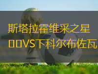 斯塔拉霍維采之星VS下科爾布佐瓦