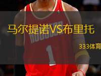 馬爾提諾VS布里托