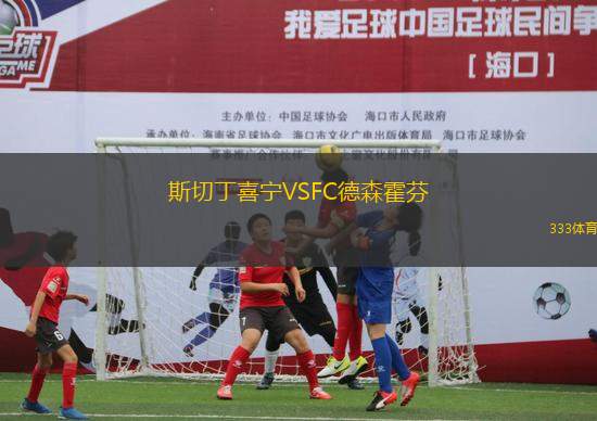 斯切丁喜寧VSFC德森霍芬