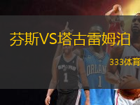 芬斯VS塔古雷姆泊