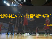 比斯特拉VSNK普雷科薩格勒布
