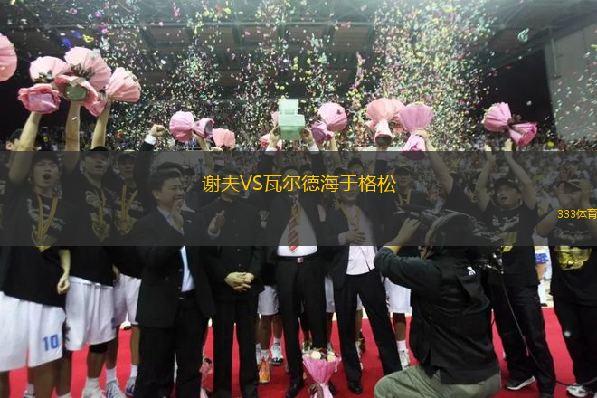 謝夫VS瓦爾德海于格松