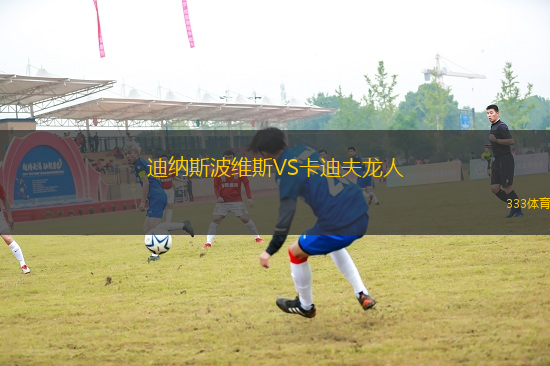 迪納斯波維斯VS卡迪夫龍人