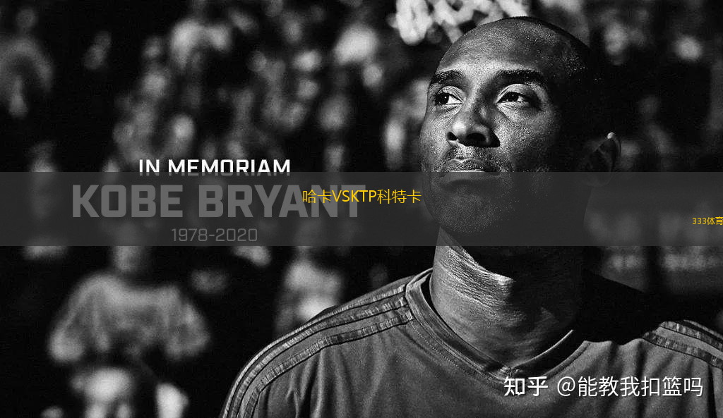 哈卡VSKTP科特卡