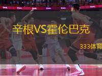 辛根VS霍倫巴克