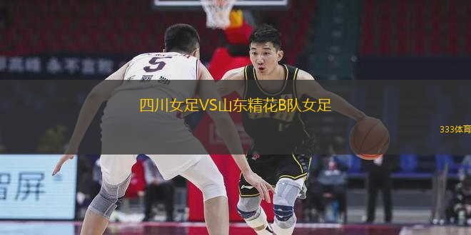 四川女足VS山東精花B隊女足
