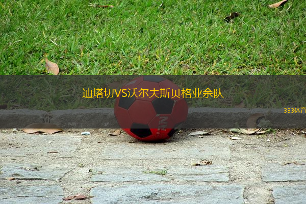 迪塔切VS沃爾夫斯貝格業(yè)余隊