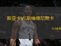 斯亞卡VS斯維德尼贊卡