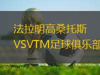 法拉明高桑托斯VSVTM足球俱樂部