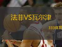 法菲VS瓦爾津