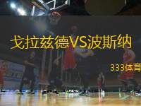 戈拉茲德VS波斯納