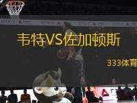 韋特VS佐加頓斯