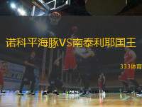 諾科平海豚VS南泰利耶國王