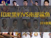 印度黑豹VS南部鯊魚