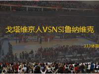 戈塔維京人VSNSI魯納維克