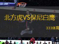 北方虎VS保尼白鷹