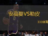 安高曼VS勒皮