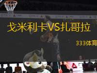 戈米利卡VS扎哥拉