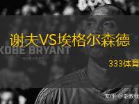 謝夫VS埃格爾森德